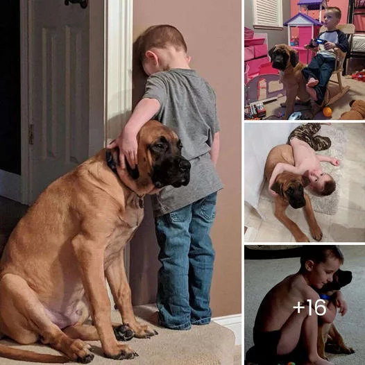 “Unforgettable Scene: Faithful Canine Companion Comforts Boy During Timeout”